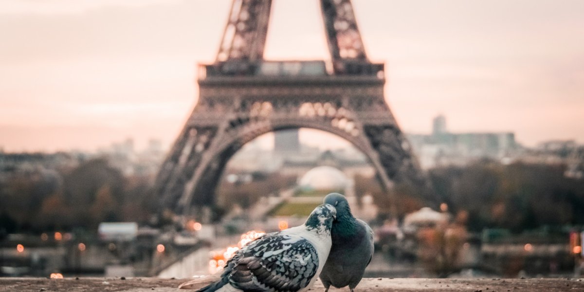 12 Insights for Couples