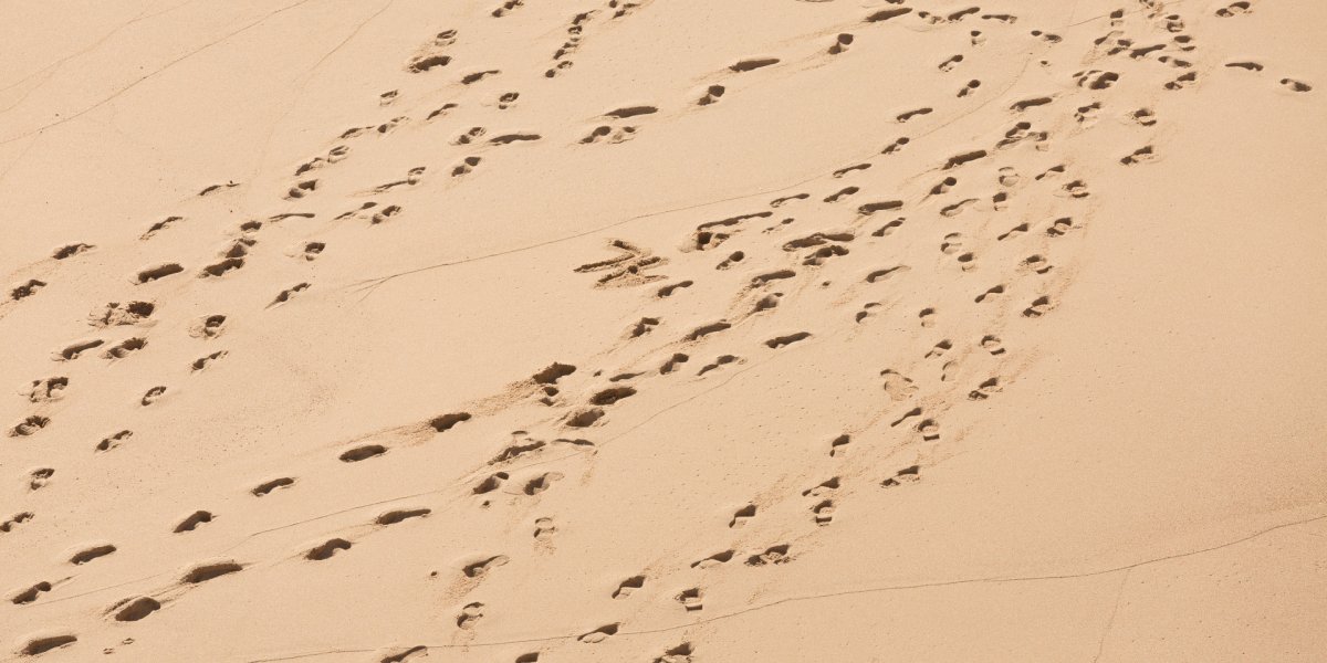 7 Days with Jesus: Walk with Jesus