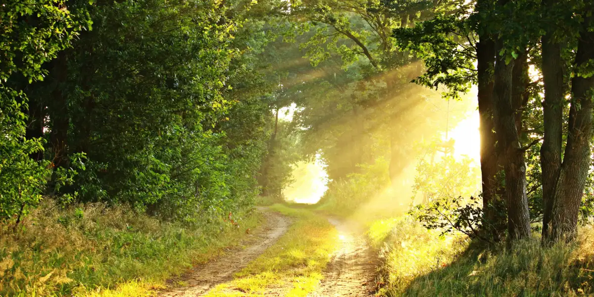 Resurrected from the Dead