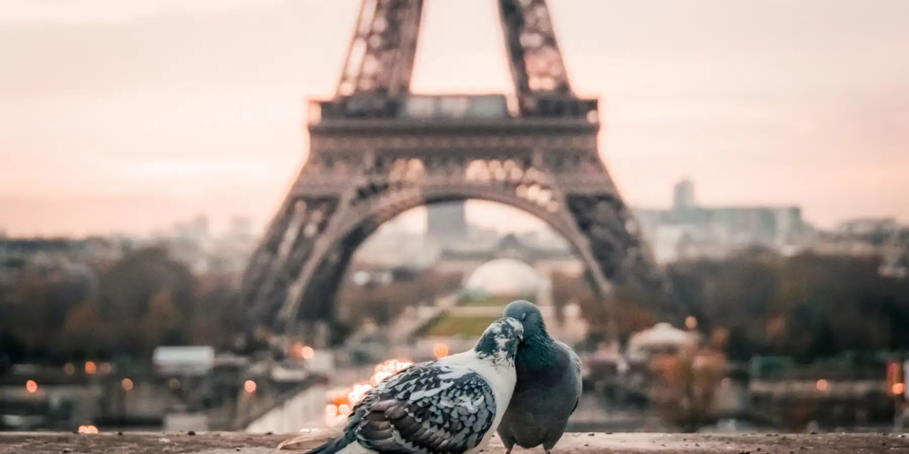 12 Insights for Couples