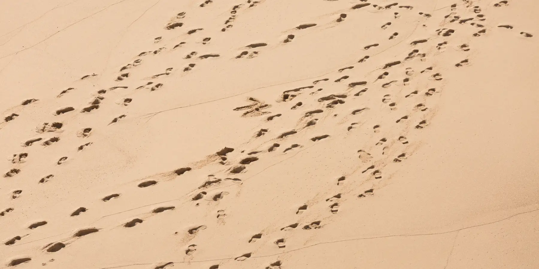 7 Days with Jesus: Walk with Jesus